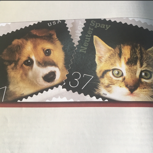 芈月光溜溜屁股被猛操调教骚屄
